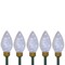 Northlight 5ct LED Lighted C9 Christmas Pathway Marker Lawn Stakes - Clear Lights